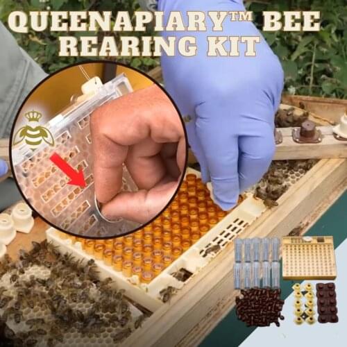 42@ 131pcs Bee Queen Rearing Cupkit Box System Beekeeping Cage Cell Cup Kit Garden Beekeeping Accessories