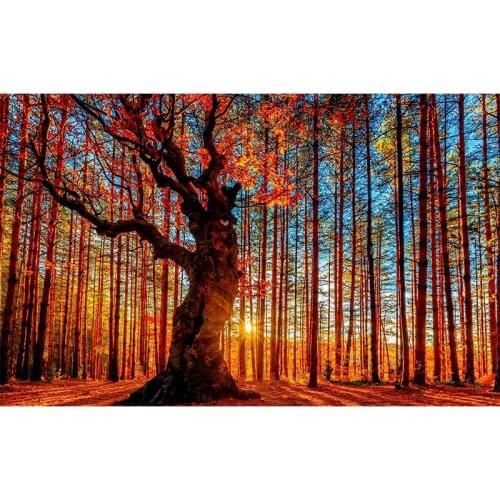 Full Round drill 5D DIY Diamond embroidery Landscape Forest Diamond Painting Cross Stitch Rhinestone Mosaic decoration