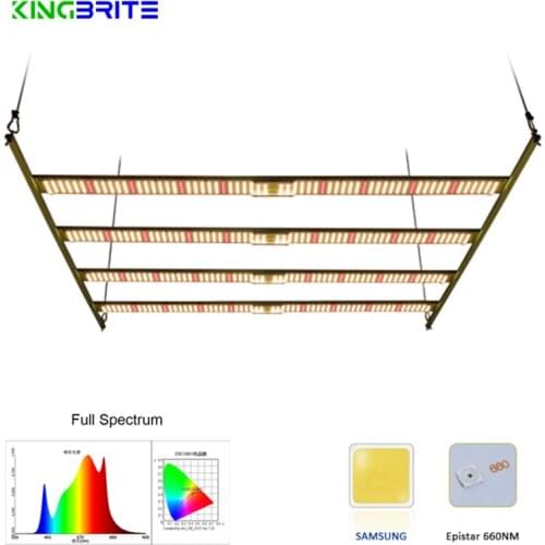 Kingbrite Plant Lamps