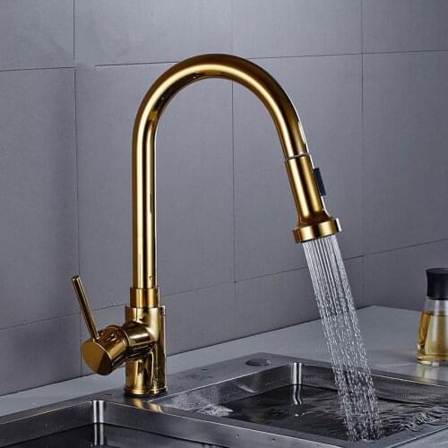 Kitchen Sink Faucets Brass Pull Out Spray Nozzle Mixer Tap Single Handle Hot & Cold Gold/Chrome Sink Crane Tap Rotating Faucet