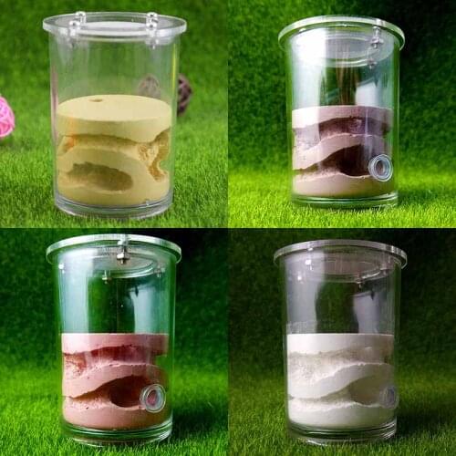 Small Cup of Acrylic Cover Gypsum Insect Nest Ants Farm House Reptile Terrarium Chirstmas Gifts