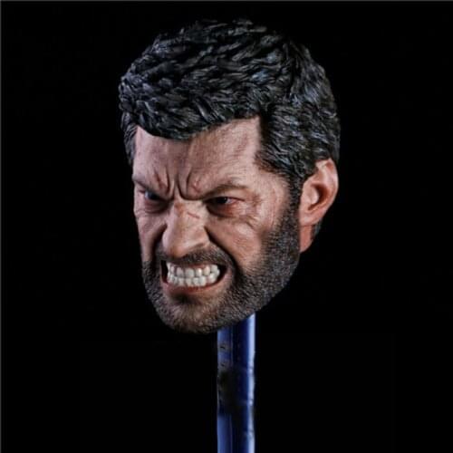 In stock 1/6 Scale Logan Head Sculpt Hugh Jackman Angry Version for 12 inches Action Figure