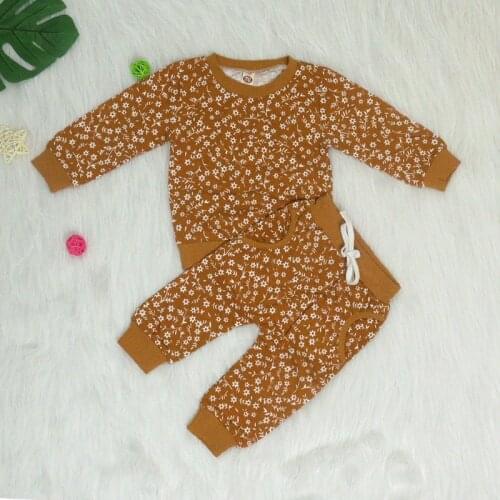 0-24M 2Pcs Baby Outfits Clothes Set Babies Floral Printed Pattern Round Collar Top + Long Pants
