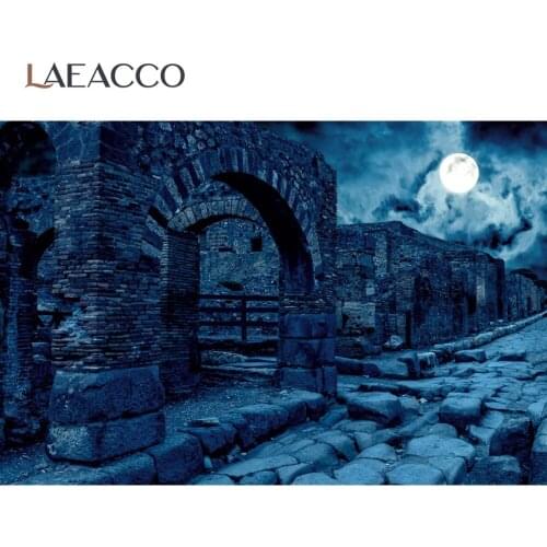Halloween Dark Full Moon Night Vintage City Wall Scene Photography Background Photographic Backdrop Photocall For Photo Studio