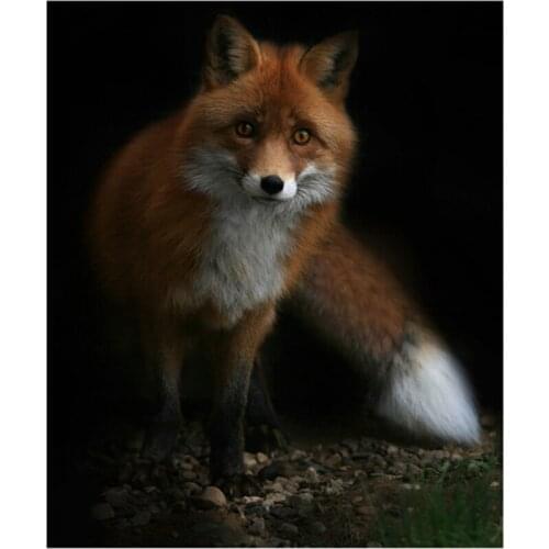 3d diamond embroidery Fox needlework diamond mosaic picture of rhinestones hobbies and crafts material for handmade A5256R