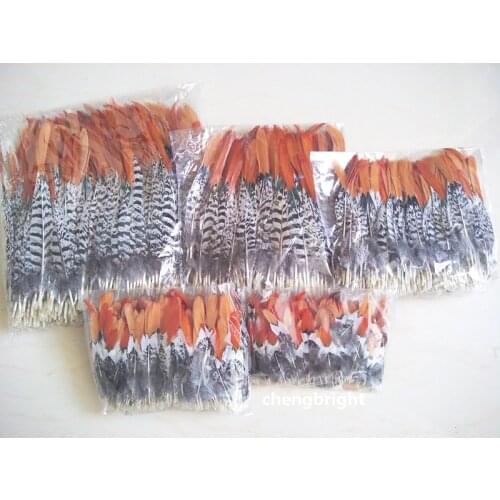 Wholesale 20pcs natural Lady Amherst Pheasant Feathers 10-30cm/4-12inch Wedding Accessories Stage performance diy Carnival