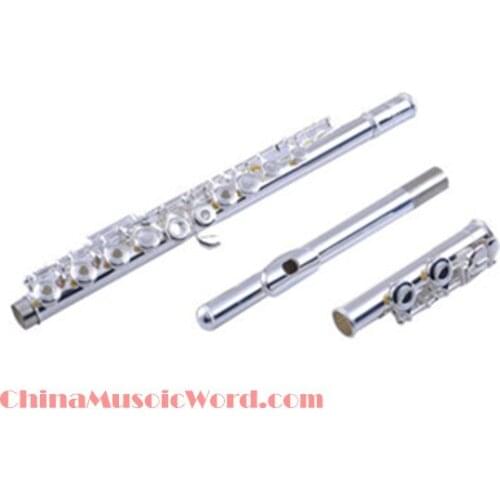 Hot Sale Musical Instrument Flute(MDWDD-05)