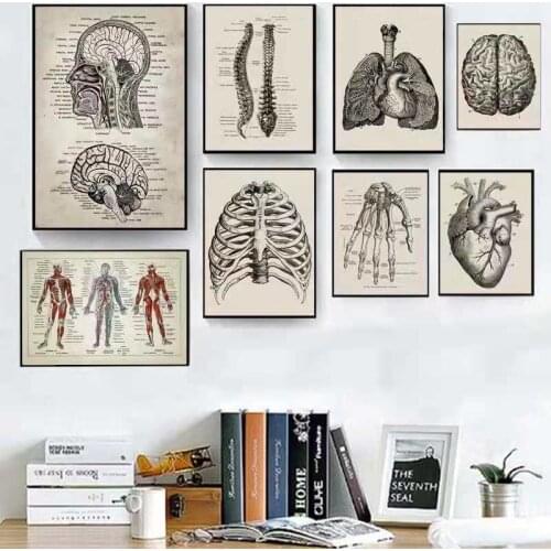 Human Anatomy Artwork Medical Wall Oil Painting HD Picture Mural Poster Canvas Painting Core