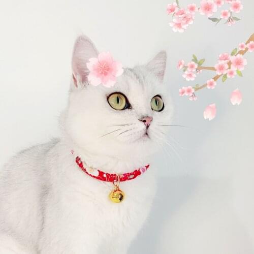Pet Adjustable Brass Bell Lucky Cat Dog Collar Collar Insect Repellent Accessories Shiba Inu