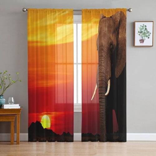 African Animal Elephant Sunrise Tulle Sheer Window Curtains for Living Room Kitchen Children Bedroom Voile Hanging Curtain