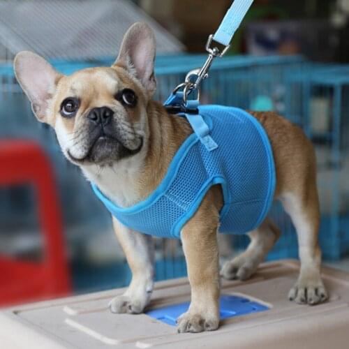 New Hot Sale Breathable Mesh Pet Puppy Dog Walking Collar Chest Strap Harness Blue Dog Clothes