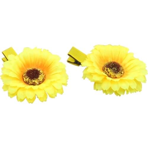 ZXXYAXZJZ Kids Hair Clips