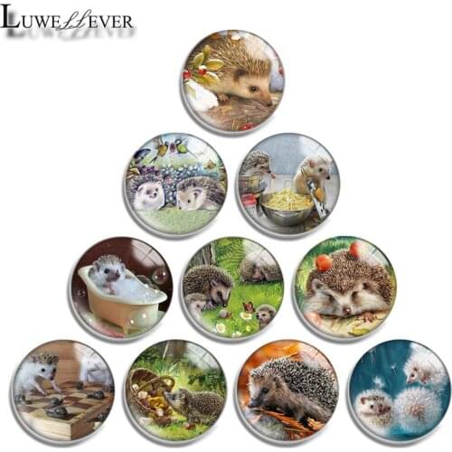 12mm 14mm 16mm 20mm 25mm 30mm 611 Hedgehog Mix Round Glass Cabochon Jewelry Finding 18mm Snap Button Charm Bracelet