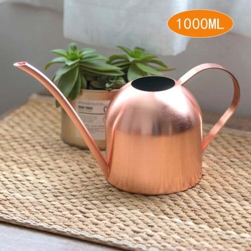 1L Stainless Steel Gardening Plant Watering Can tools and equipment Planting flower Garden Sprinkling Pot plant spray bottle