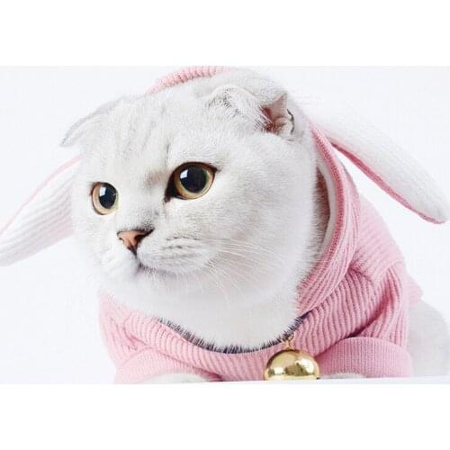 Cat Clothes Dog Cute Clothes New Pet Rabbit Ears Dog Clothes Autumn And Winter Warm Cotton Cat Clothes