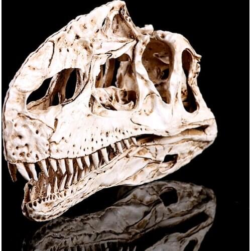 Resin Monolophosaurus Skull Model Velociraptor Dinosaur Fossil Skull Head Statue Sculpture Home Collectibles Aquarium Decoration