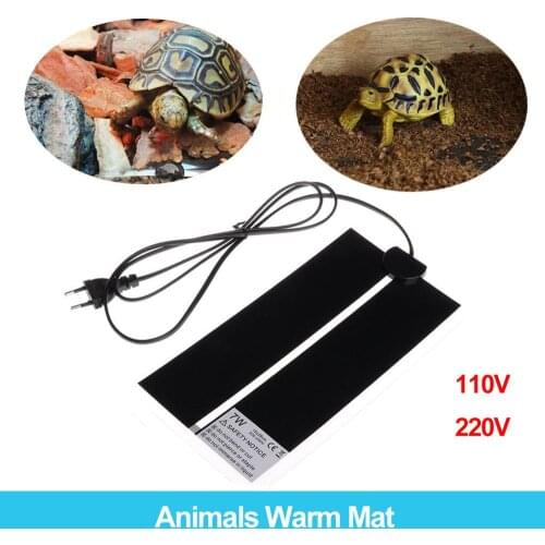 Товары для скалолазания и альпинизма MINCO HEAT China At AliExpress