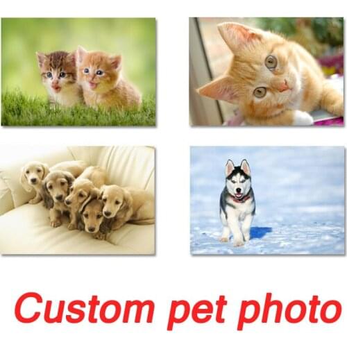 Custom Pet Photo Picture Animals Customized Photo Prints Painting Canvas Print Poster Kawaii Room Decor