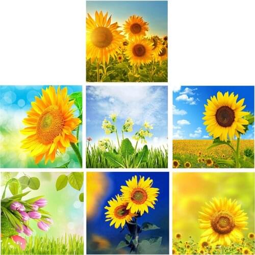 DIY Diamond Painting by Number Kit Full Round Rhinestone Mosaic