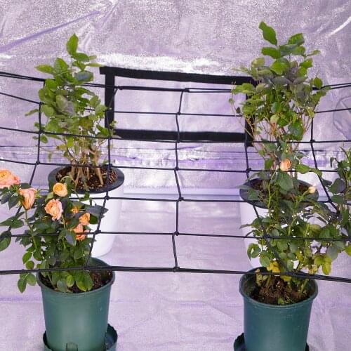 Inkbird Grow Tent Trellis Net 36 Square Growing Spaces Optimum Netting Widely used for Flowering,Potted Plants,Fruits,Vegetables