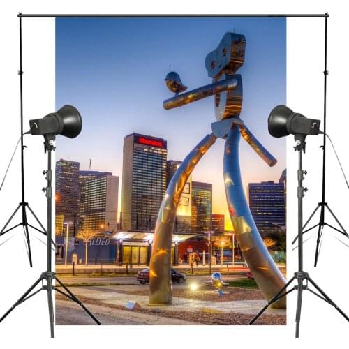 Robot Bird Photography Background Dallas Downtown Main Streets Backdrop Shoot Backdrop Studio Props Wall 150x220cm