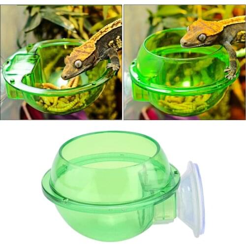 Plastic Bowls Pet Feeder Durable Reptiles Suction Cup Feeder Bowl for Lizard Chameleon Gecko Feeding Water Bottle Bowl