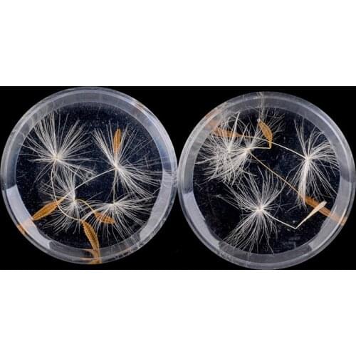 Acrylic Dandelion Ear Plugs Tunnels Earring Gauges Hollow Double Flare Ear Tunnels Expanders Plug Piercing Body Jewelry 10-25mm
