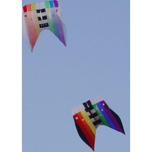 Cometas para adultos outdoor games familie giant games led kites for adult ripstop fabric carpe koi latawiec cerf volant vlieger