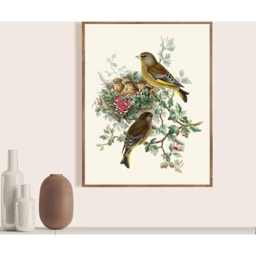 Bird Botanical Poster Greenfinch Bird Antique Illustration Print Nest Natural History Wall Art Decor Retro poster kraft paper