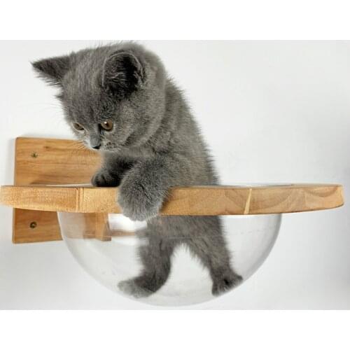 Solid wood wall hanging cat climbing frame, transparent cover for wall space nest, durable cat springboard cat nest