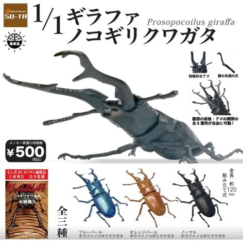 Insects Series Gashapon Toys Large Size Scale 1/1 Simulation Model Prosopocoilus Giraffe Stag Beetle Model Ornament Toys