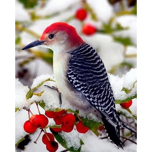 DIY 5D full diamond painting cross stitch "woodpecker" mosaic diamond embroidery sewing pattern rhinestone