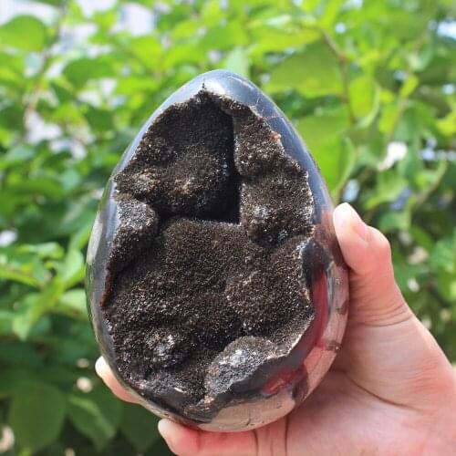 1550g Natural curvature of the furnishing articles Turtle grain stone egg Ball Septarian nodule Fossil Crystal Healing quartz