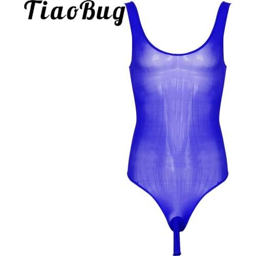 Mens Lingerie See-Through Open Bulge Pouch Leotard Underwear Nightwear Gay Male Scoop Neck Transparent Sissy Bodysuit for Sex