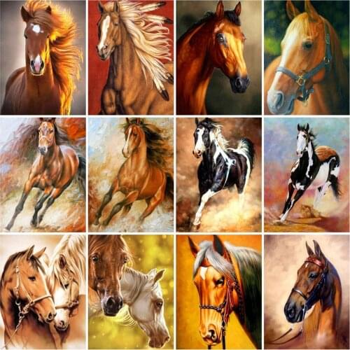 HUACAN DIY Pictures By Number Horse Painting By Numbers Animal Hand Painted Paintings Art Drawing On Canvas Gift Kits Home Decor