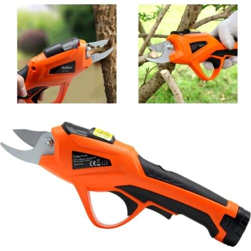 Combiubiu Secateurs