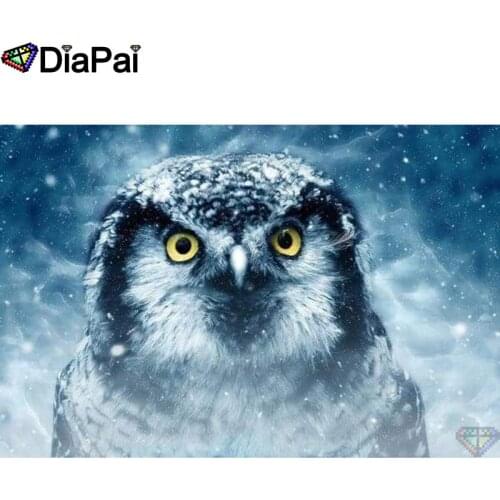DIAPAI Diamond Painting 5D DIY 100% Full Square/Round Drill "Animal owl" Diamond Embroidery Cross Stitch 3D Decor A24338
