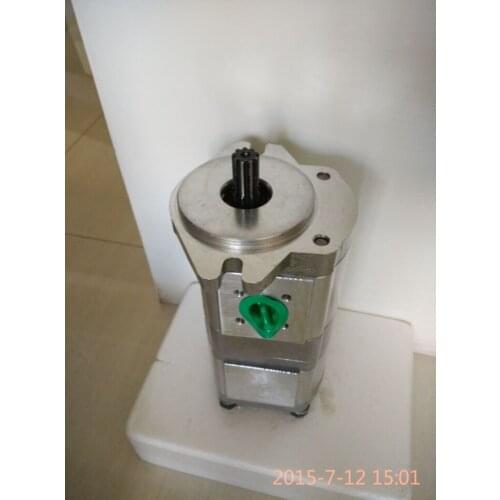 Hydraulic oil pump CBK1016/1006 FLS1 gear pump pressure pump