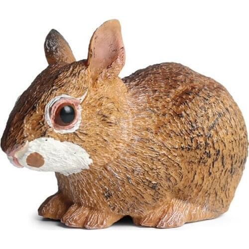 Sylvilagus Rabbit Animal Figure Collectible Toys Wild Animal Cognition Action Figures Kids Plastic Model Toys