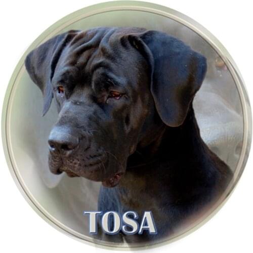 S40370# Various Sizes PVC Decal Tosa Inu Dog Animal Car Sticker For Bumper Rear Window Laptop Refrigerator Toilet