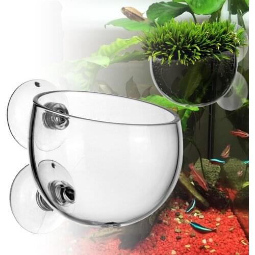 Aquarium Decoration Hanging Crystal Glass Pot Polka Plant Cup for Fish Tank Plants Cylinder Cup Aquarium Accessories Two Suckers