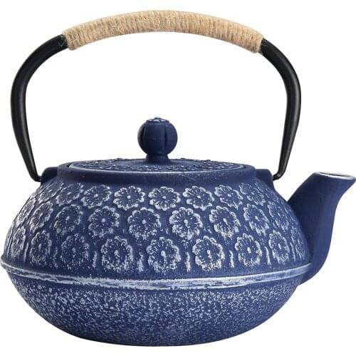 Japanese-Style Cast Iron Kettle Boiling Water Tea Boiling Water Iron Tea Pot Household Cross-Border Tea Set with Strainer