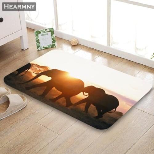 Nice Elephant Anima Doormat Outdoor Floor Mat Home Creative Mat Super Soft Absorbent Bathroom Door Entrance Mat 40X60cm,50x80cm