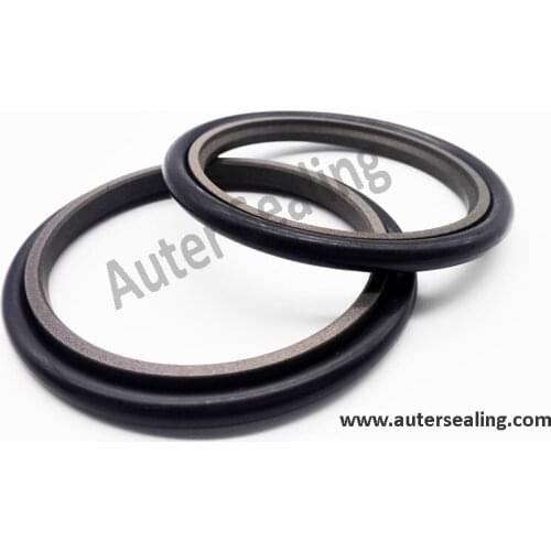 GSJ 35x46x4.2/36x47x4.2/70x85.5x6.3/80x95.5x6.3 /40x50.7x4.2 Rotary Rod seal PTFE Bronze with NBR oring Rotary compact