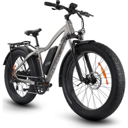 DERUIZ Electric Bicycles