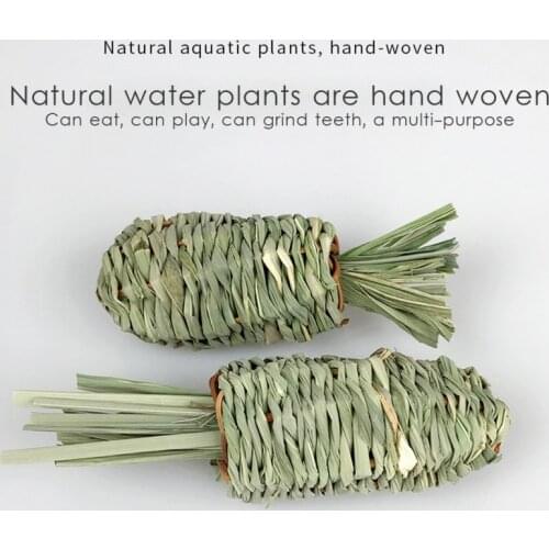 3Pcs Guinea Pig Tooth Care Chew Suitable For Rabbits Hamsters And Other Small Pets Carrot Chew Toy