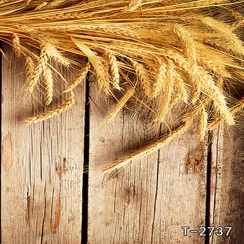 Bumper Wheat Wedding Children Vinyl Background For Photo Studio Props Baby Backdrops for Photography Camera Fotografica