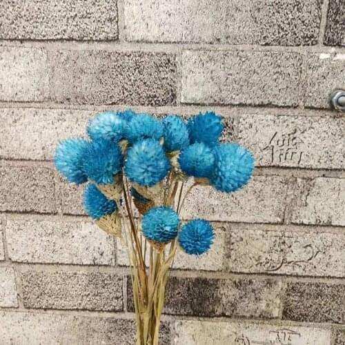 20Pcs Small Strawberry Fruit Grass Natural Dry Flower Artificial Plant Wedding Bouquet Wedding Room Home Decoration Real Flower