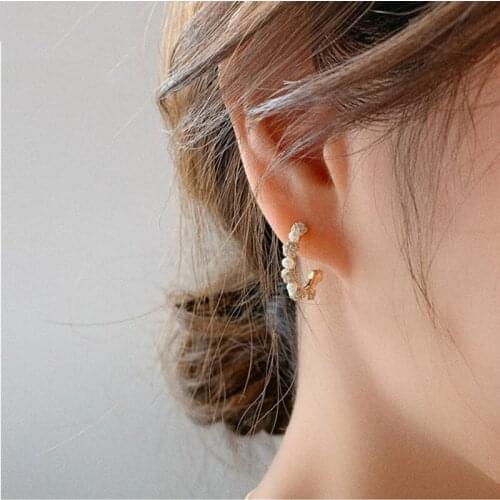 Sweet Girl Earrings Crystal Pearl Stitching Net Celebrity Simple And Versatile Temperament Earrings Womens Sale Orecchini