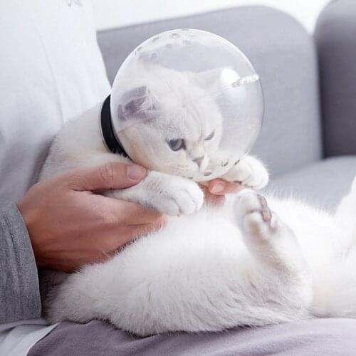 Breathable Cat Muzzle Anti Bite Grooming Mask Bath Beauty Hood Pet Cover Tools Anti-Licking Protective Space Cat Accessories
